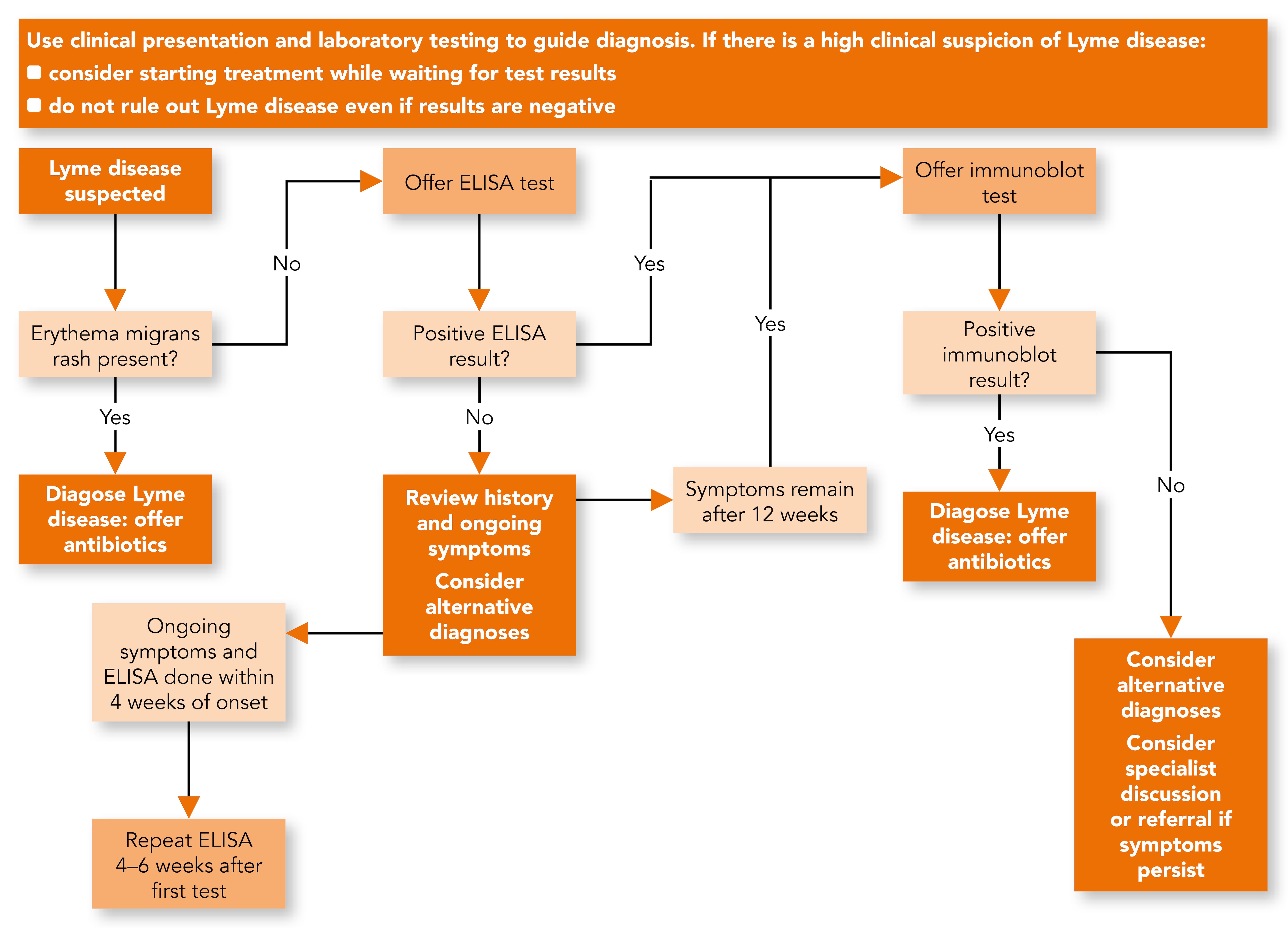 Top Tips Lyme Disease